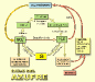 o_ciclo-4azufre Blog Ecol